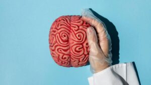 Imagem de cérebro para representar avanços na cirurgia de retirada do tumor cerebral.