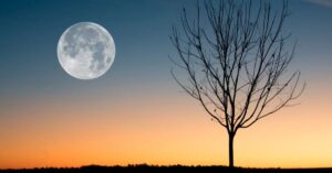 Fase da Lua hoje é Cheia, visível ao entardecer com céu limpo