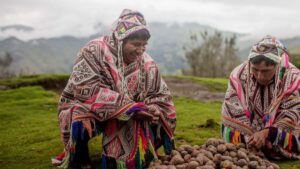 Potato Park no Peru
